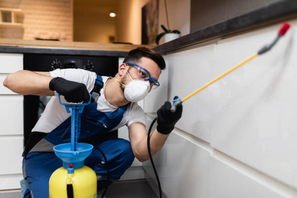 Wildlife Control Services in Los Lunas, NM