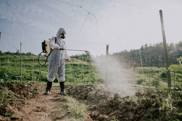 Pest Control Cost in Los Lunas, NM