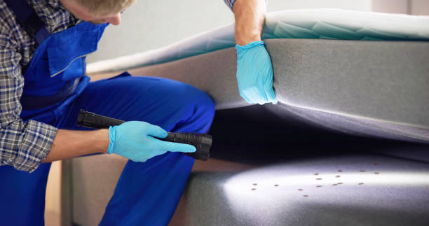 Best Best Pest Control Companies  in Los Lunas, NM