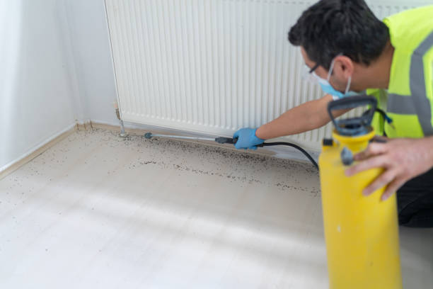 Professional Pest Control in Los Lunas, NM